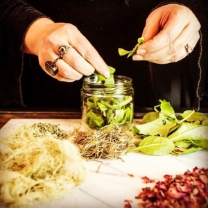 Herbs 101 - An introduction to medicinal herbs with Remedies Herb Shop -Sun