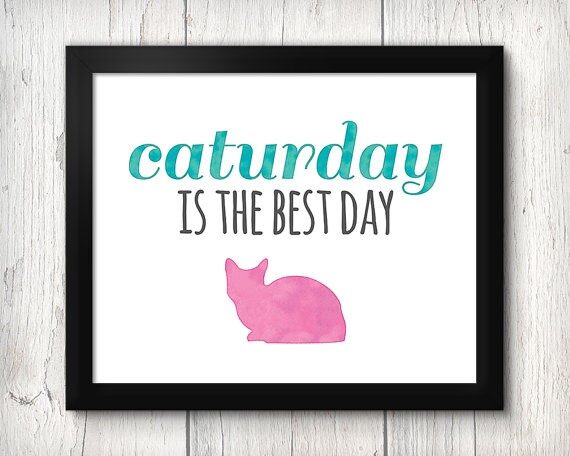 caturday